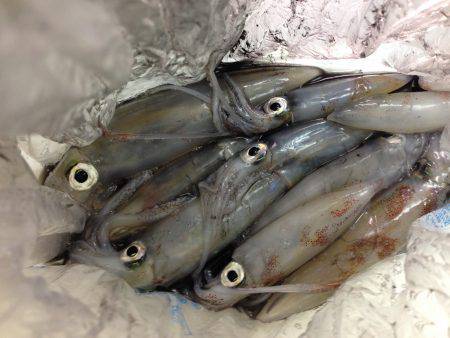 型が大きくなってきた